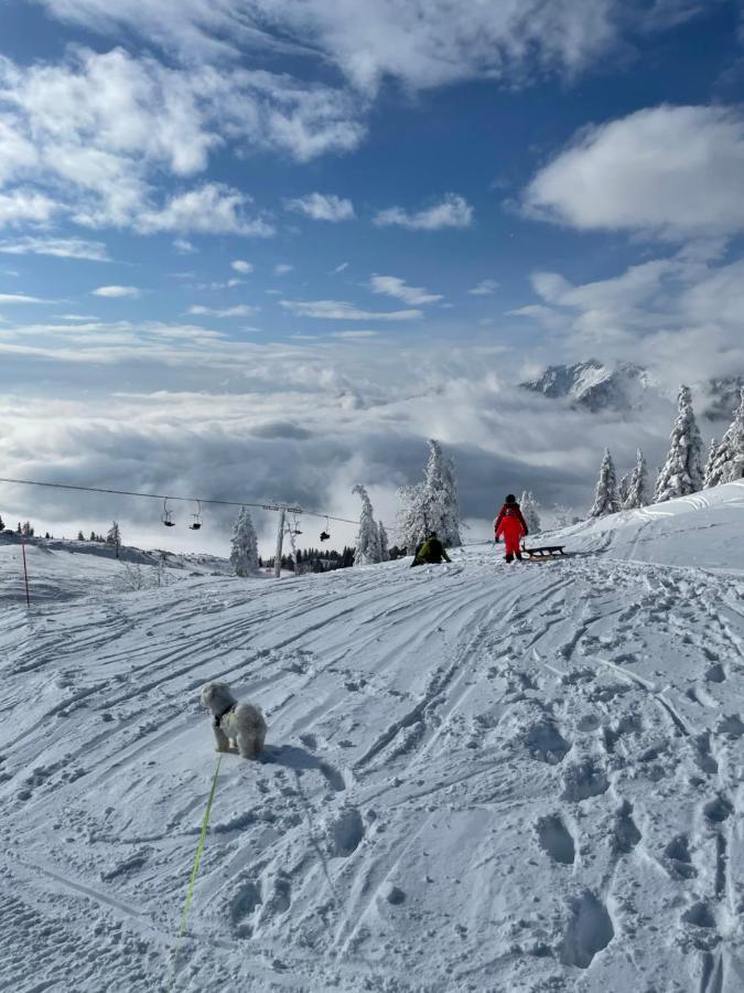 Velika Planina Koca Kekec Stahovica Exterior foto